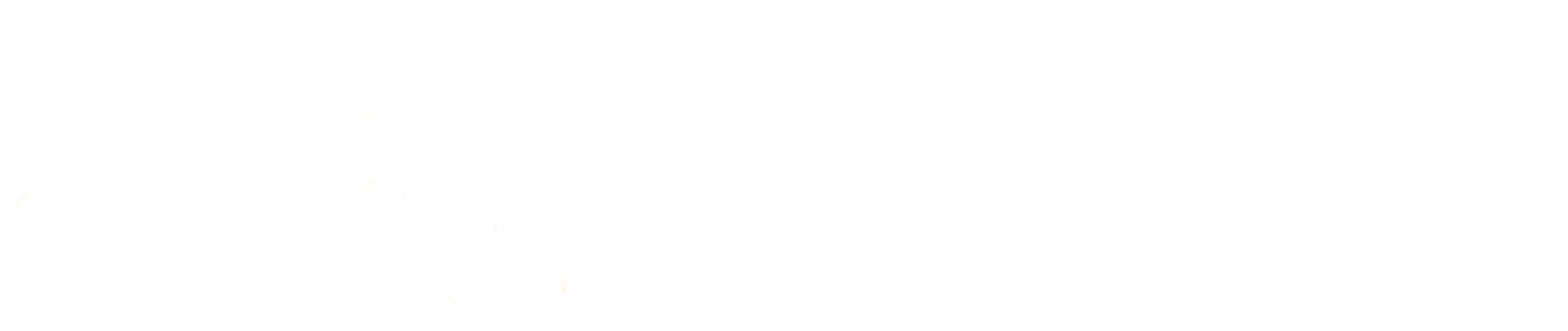 Logo Ad Baan trouwkoetsen in wit